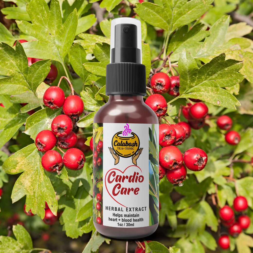BLOOD PRESSURE EASE HERBAL EXTRACT : blood pressure support