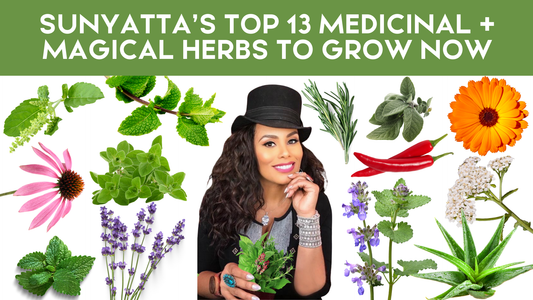 SUNYATTA’S TOP 13 MEDICINAL  + MAGICAL HERBS TO GROW NOW