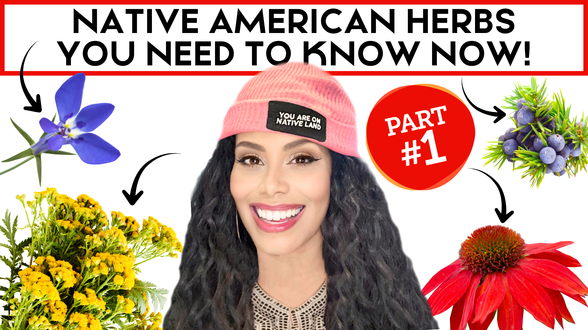 NATIVE HERBS YOU NEED TO KNOW NOW! - Part 1 – Calabash Tea