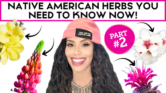 NATIVE HERBS YOU NEED TO KNOW NOW! - Part 2