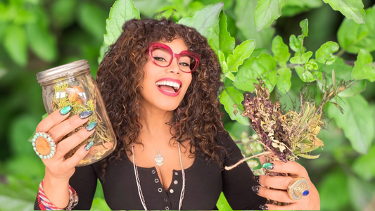 26 NATIVE AMERICAN HERBS YOU NEED TO KNOW NOW!