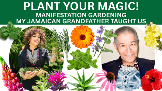 PLANT YOUR MAGIC! THE MANIFESTATION GARDEN RITUAL MY JAMAICAN GRANDFATHER TAUGHT ME