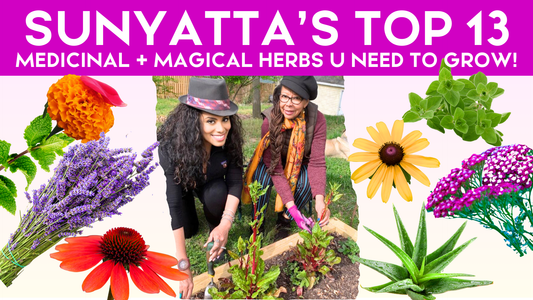 SUNYATTA’S TOP 13 MEDICINAL  + MAGICAL HERBS TO GROW NOW