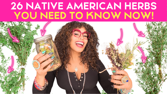 26 NATIVE HERBS YOU NEED TO KNOW NOW!