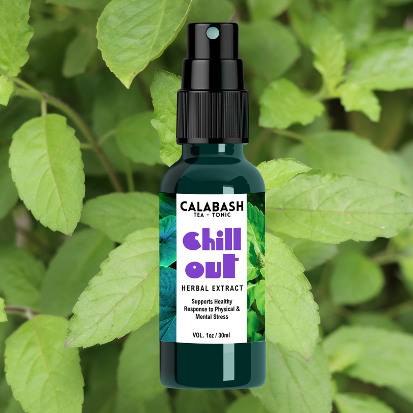 CHILL OUT HERBAL EXTRACT: ease anxiety + stress on the go